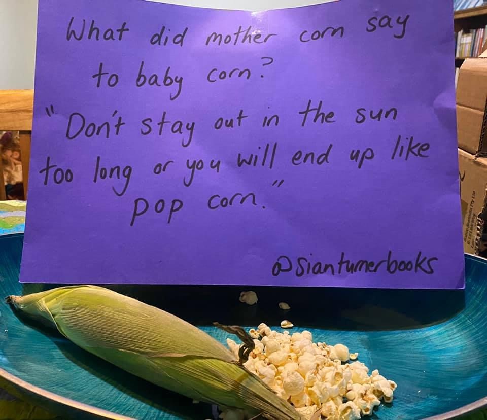 My Corny Jokes – Sian Turner Books