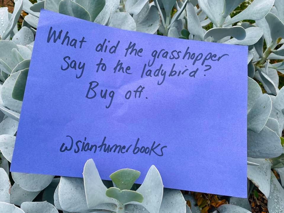 My Corny Jokes – Sian Turner Books