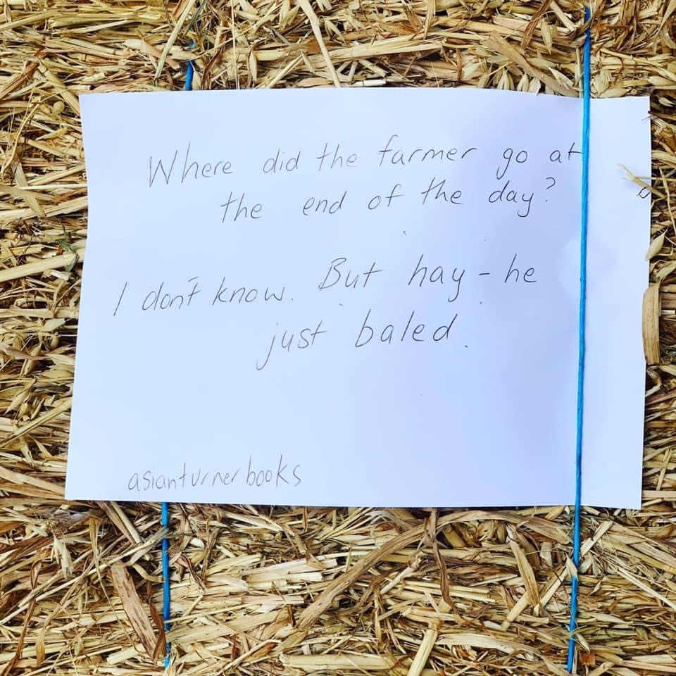 My Corny Jokes | Sian Turner Books