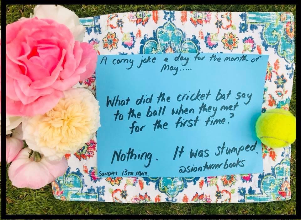 My Corny Jokes | Sian Turner Books